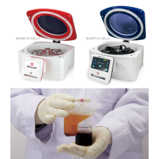 미라셀 줄기세포